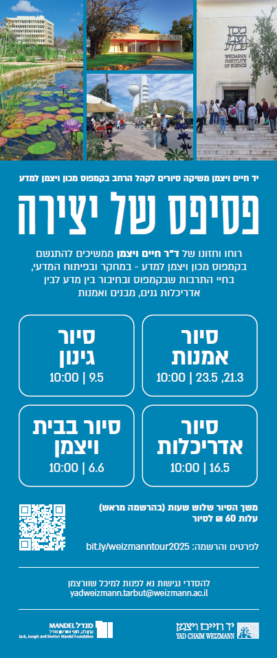 פסיפס של יצירה 